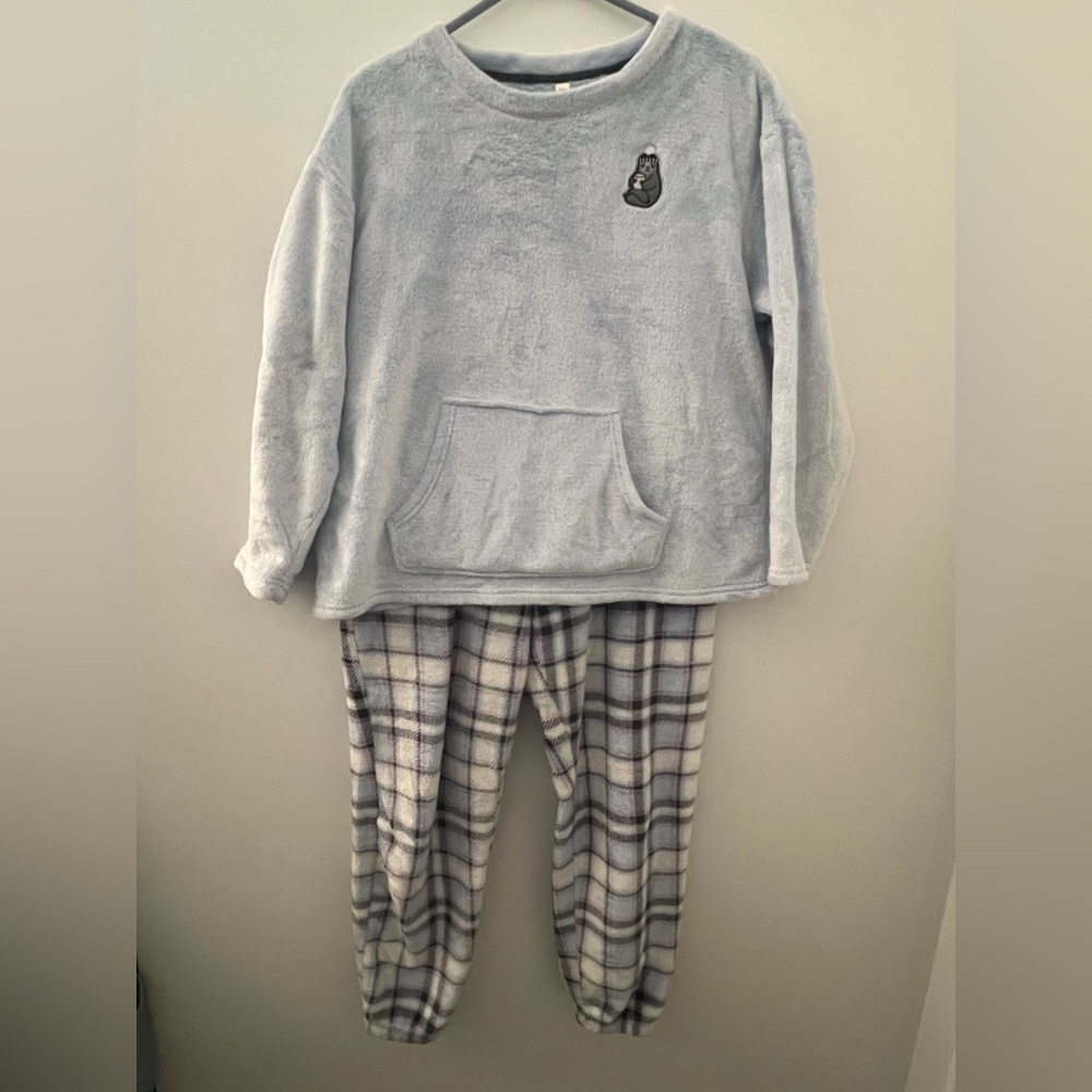 Gray Penguin Plush Fleece Hooded Set